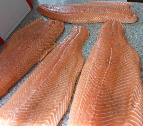 hot_smoked_salmon_1_WR