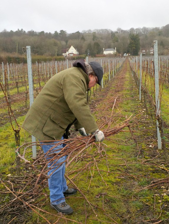Deli Truck, Champagne, 