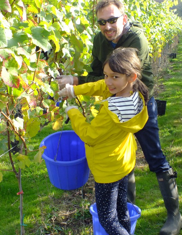 Squerryes Estate, Catering, Wedding catering, street food