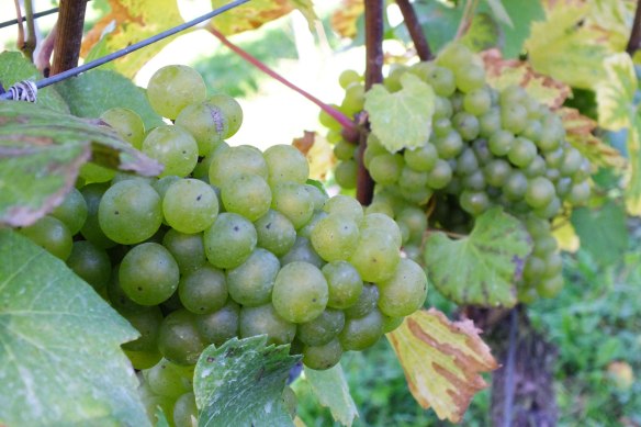 Deli Truck, catering, Street food, Kent catering