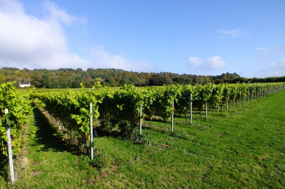 Squerryes, Deli Truck, Catering, Street food